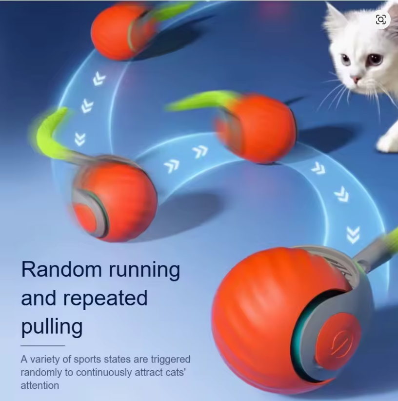Rolling Ball Cat Toy