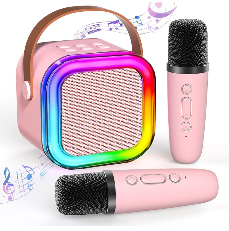 Mini Karoke Bluetooth Speaker With 2 Mic